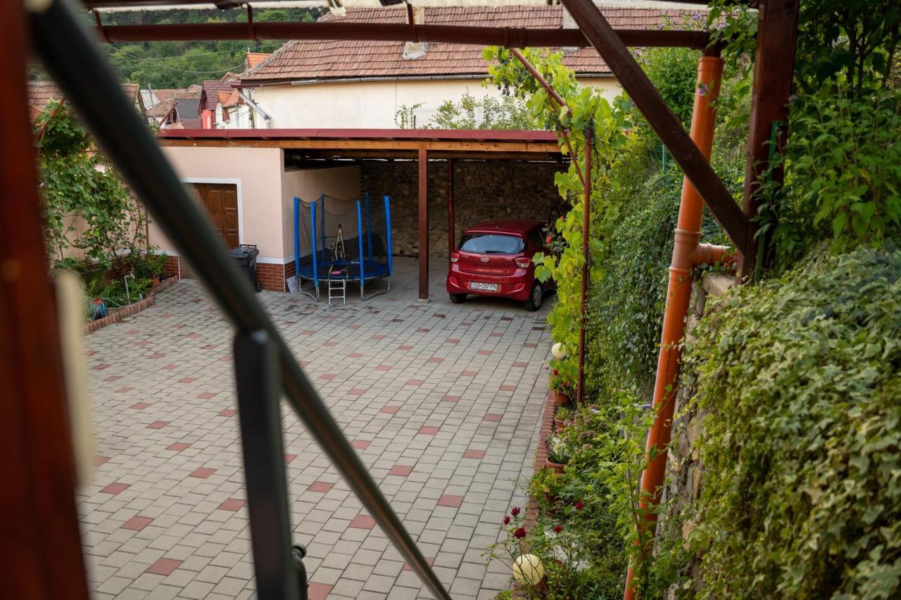 Apartament Panoramic La Casa In Comuna Răşinari Exterior foto